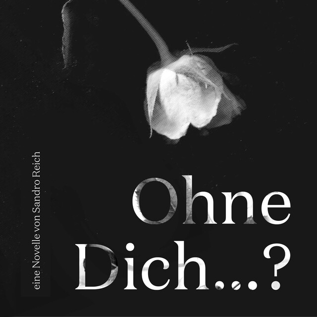 Ohne dich, Sandro Reich