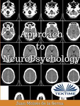 Approach To Neuropsychology, Juan Moisés De La Serna