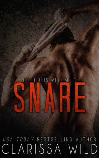 Snare (Delirious book 1), Clarissa Wild