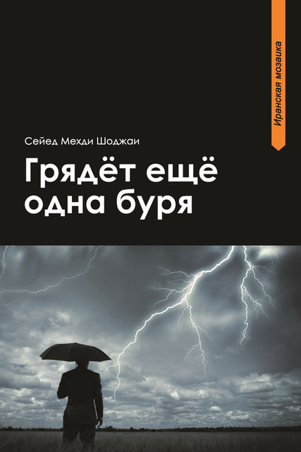 Грядет еще одна буря, Сейед Мехди Шоджаи