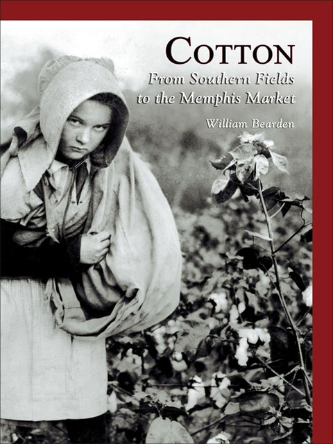 Cotton, William Bearden