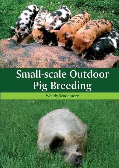 Small-scale Outdoor Pig Breeding, Wendy Scudamore