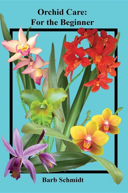 Orchid Care, Barb Schmidt