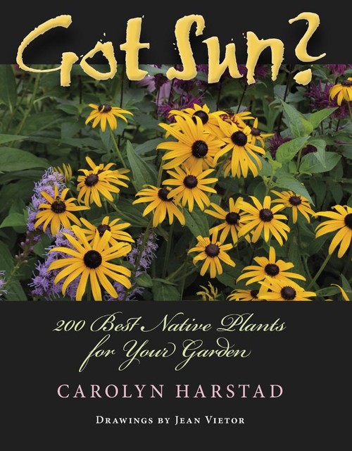 Got Sun?, Carolyn A.Harstad