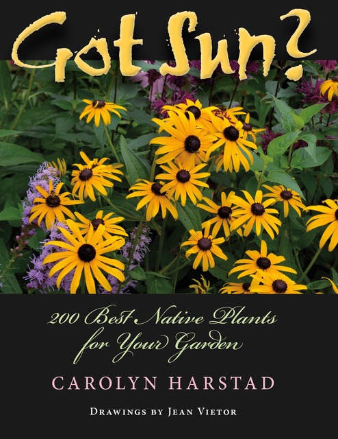 Got Sun?, Carolyn A.Harstad
