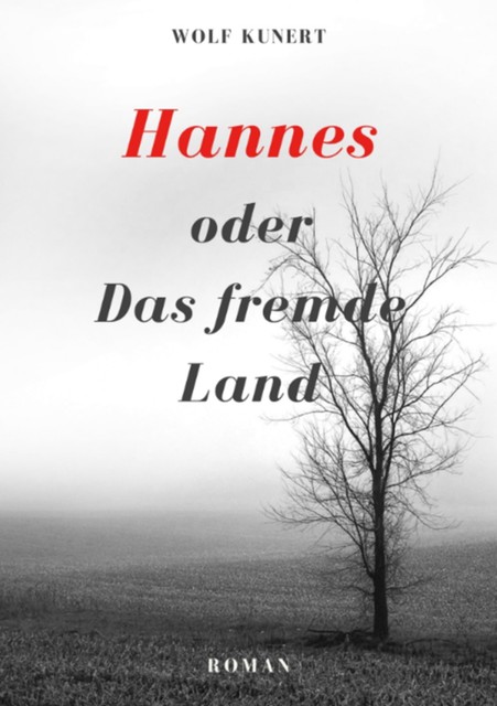 Hannes oder Das fremde Land, Wolf Kunert