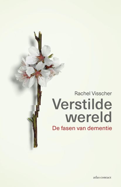 Verstilde wereld, Rachel Visscher