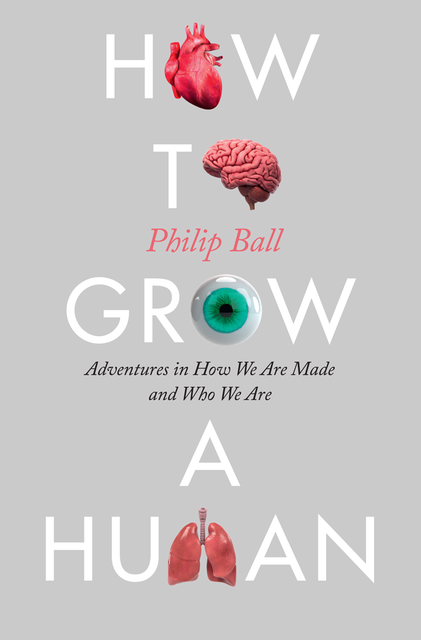 How to Grow a Human, Philip Ball