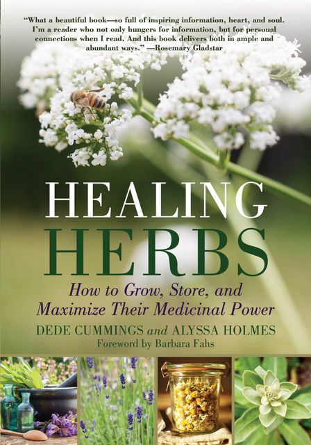 Healing Herbs, Dede Cummings, Alyssa Holmes