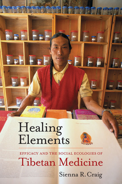 Healing Elements, Sienna R. Craig