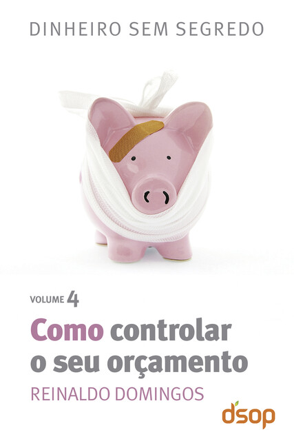 Como controlar o seu orçamento, Reinaldo Domingos