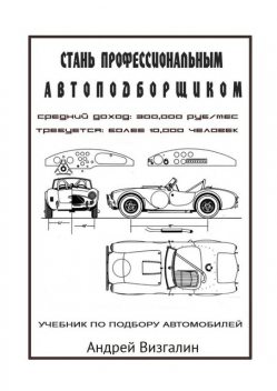 Стань профессиональным автоподборщиком, Андрей Визгалин