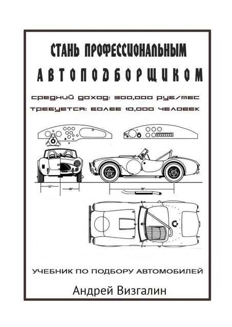 Стань профессиональным автоподборщиком, Андрей Визгалин