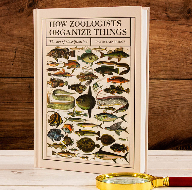 How Zoologists Organize Things, David Bainbridge