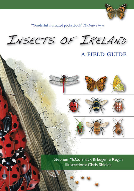 Insects of Ireland, Eugenie Regan, Stephen McCormack