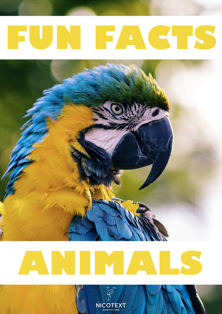 Fun facts ANIMALS, Nicotext Publishing