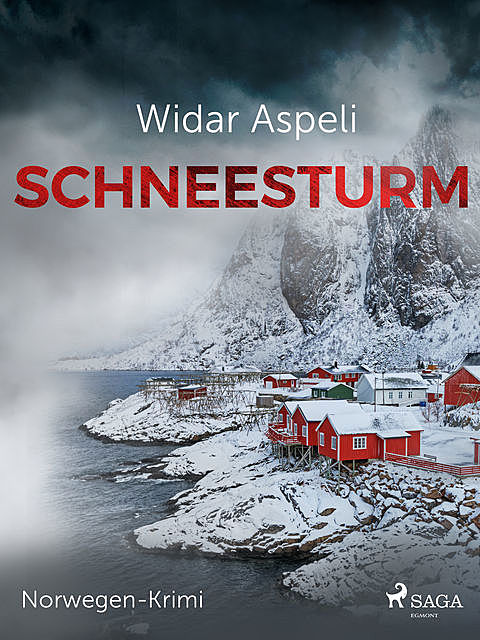 Schneesturm – ein eiskalter Krimi, Widar Aspeli