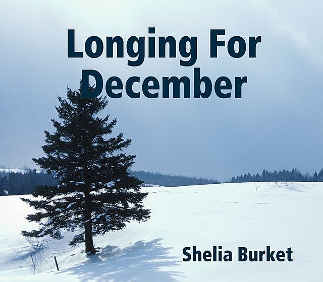 Longing for December, Shelia Burket