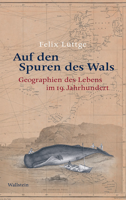 Auf den Spuren des Wals, Felix Lüttge