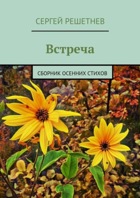 Встреча, Сергей Решетнёв