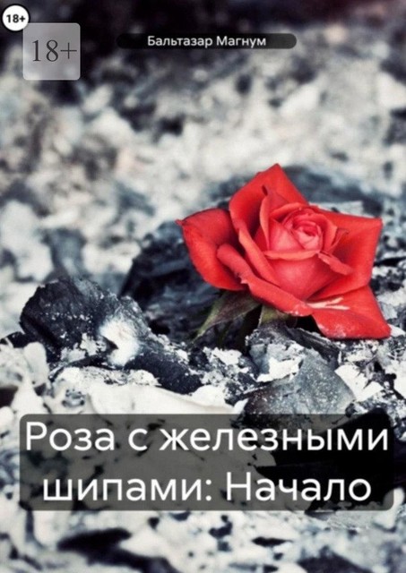 Роза с железными шипами: Начало, Бальтазар Магнум