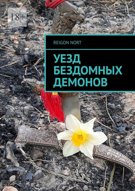Уезд бездомных демонов, Reigon Nort