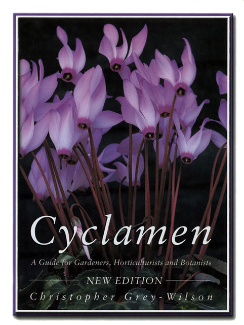 Cyclamen, Christopher Grey-Wilson