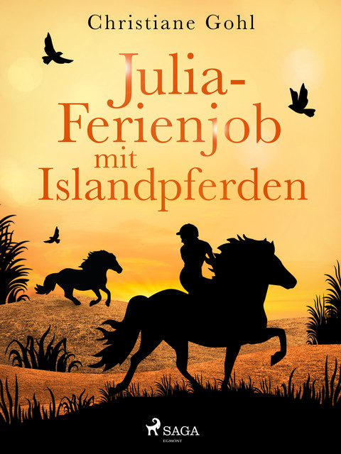Julia – Ferienjob mit Islandpferden, Christiane Gohl