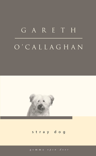 Stray Dog, Gareth O'Callaghan