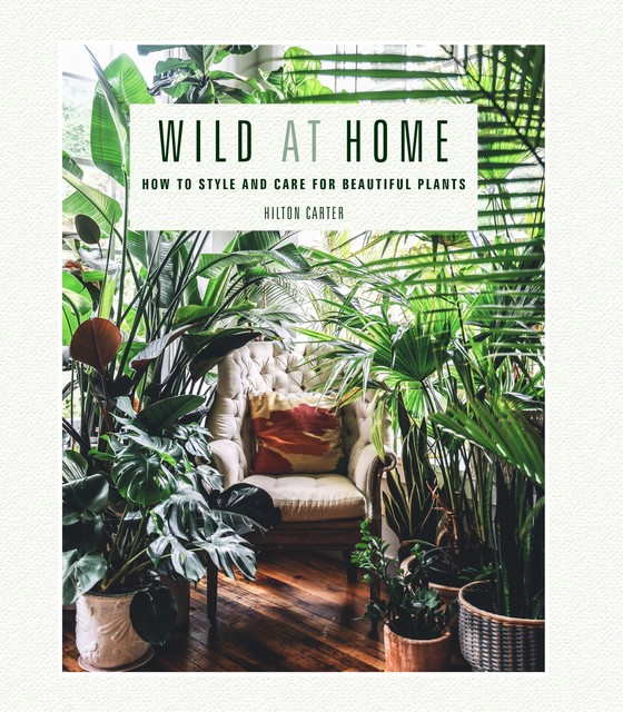 Wild at Home, Hilton Carter