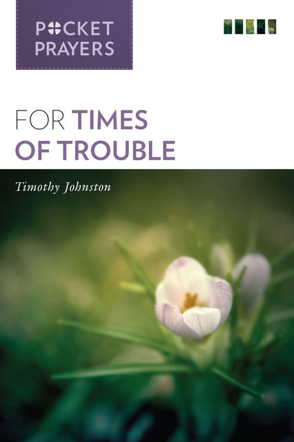 Pocket Prayers for Times of Trouble, Timothy Johnston