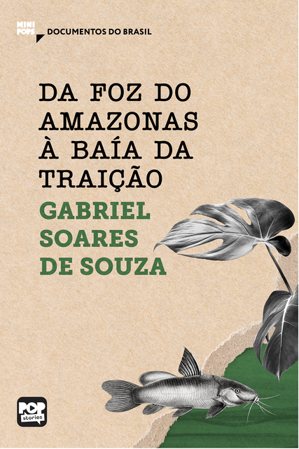 Da foz do Amazonas à Baía da traição, Gabriel Soares de Sousa