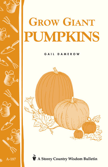 Grow Giant Pumpkins, Gail Damerow
