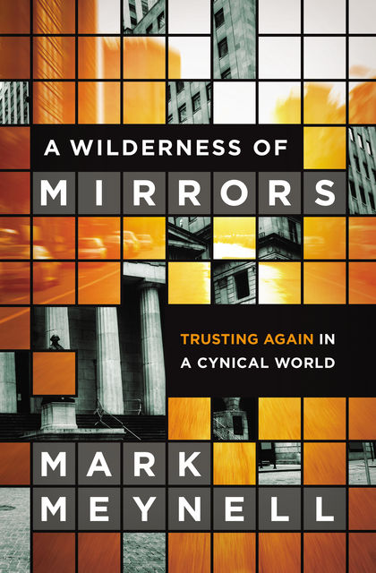 A Wilderness of Mirrors, Mark Meynell
