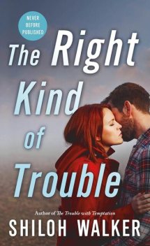 The Right Kind of Trouble, Shiloh Walker