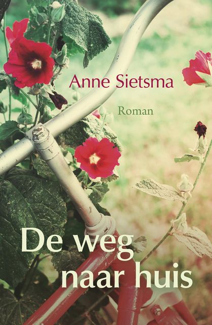 De weg naar huis, Anne Sietsma
