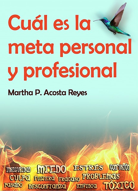 Cuál es la meta personal y profesional, Martha P. Acosta Reyes