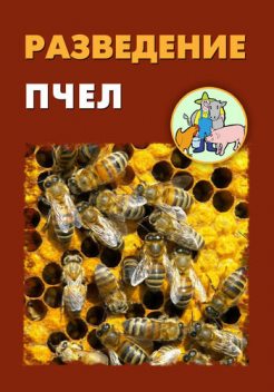 Разведение пчел, Илья Мельников