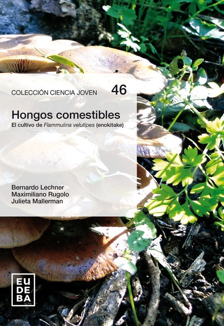 Hongos comestibles, Bernardo E. Lechner, Julieta Mallerman, Maximiliano Rugolo