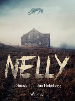 Nelly, Eduardo Ladislao Holmberg