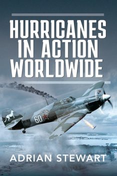 Hurricanes in Action Worldwide, Adrian Stewart