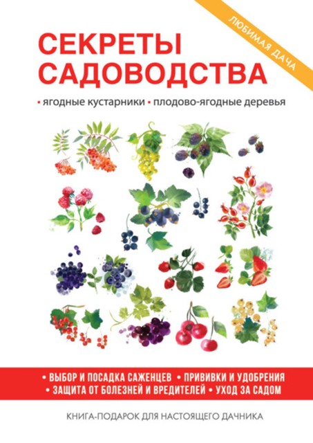 Ягодные кустарники и плодово-ягодные деревья на вашем участке. Отличный урожай, подкормка, полив и многое другое, Ольга Николаева