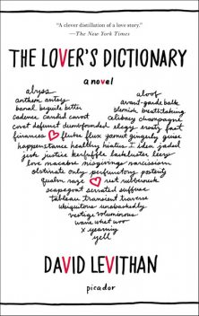 The Lover’s Dictionary: A Love Story in 185 Definitions, David Levithan