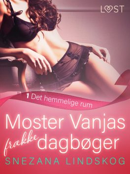 Moster Vanjas frække dagbøger 1: Det hemmelige rum – erotisk novelle, Snezana Lindskog