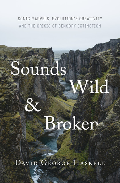 Sounds Wild and Broken, David Haskell