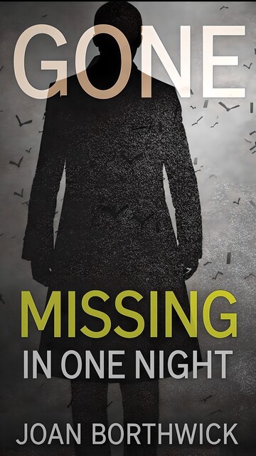 Gone Missing In One Night, Joan Borthwick