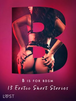 B is for BDSM: 13 Erotic Short Stories, Reiner Larsen Wiese, Julie Jones, Sandra Norrbin, Christina Tempest, Saga Stigsdotter, Sofia Fritzson, Valery Jonsson, Nina Alvén, Sara Olsson, Victoria Pazdzierny, Catrina Curant