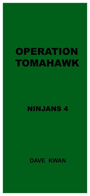 OPERATION TOMAHAWK NINJANS 4, Dave Kwan