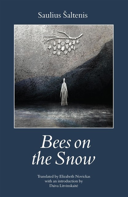 Bees on the Snow, Daiva Litvinskaite, Saulius Saltenis