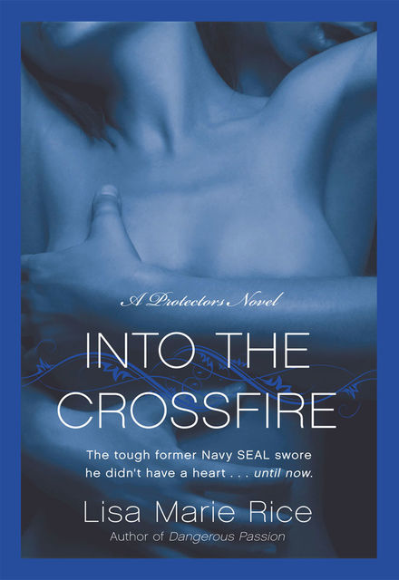 Into the Crossfire, Lisa Marie Rice